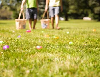 easter egg hunt in a field