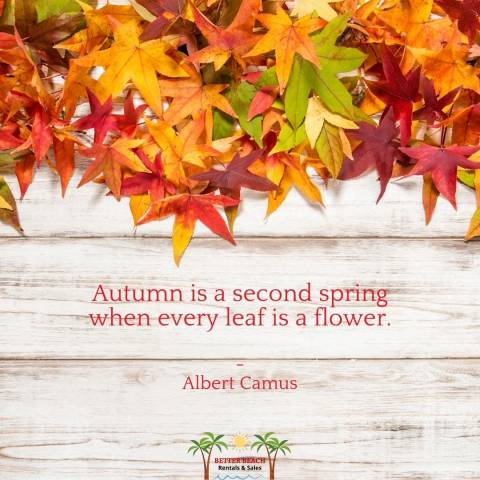 7 Marvelous Fall Quotes for This Wonderful Season | Better Beach ...