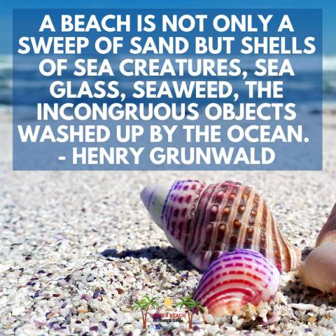8 Summer Beach Quotes That Will Remind You How Amazing a Beach Vacation ...