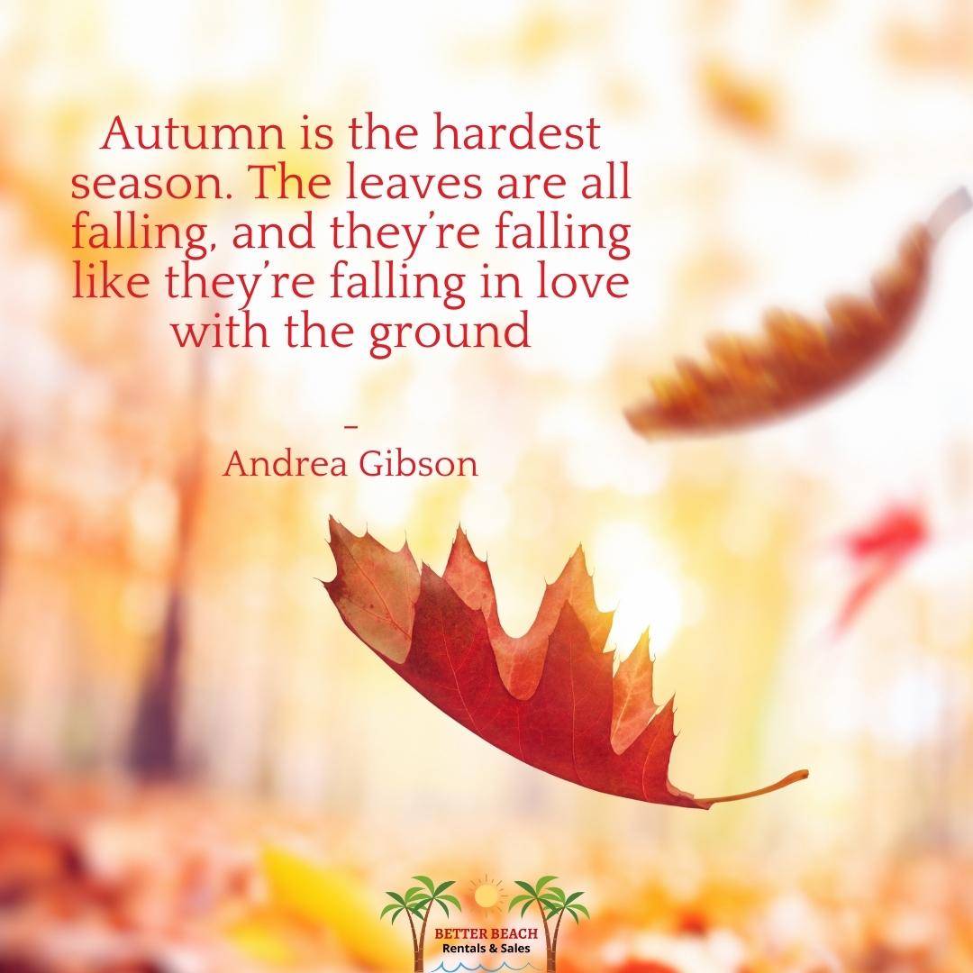 7 Marvelous Fall Quotes for This Wonderful Season | Better Beach ...