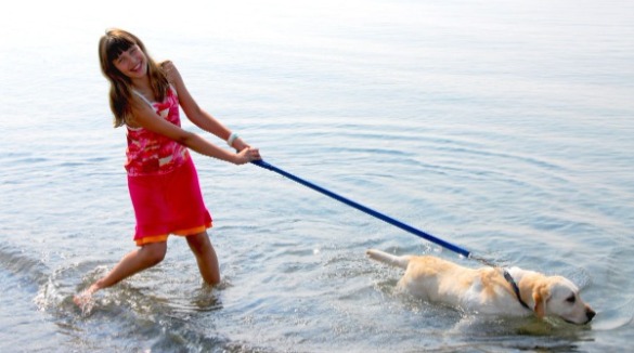 Girl with Dog at the Beach | Better Beach Rentals