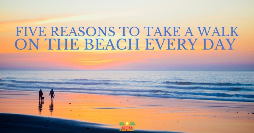 Five Reasons to Take a Walk on the Beach Every Day