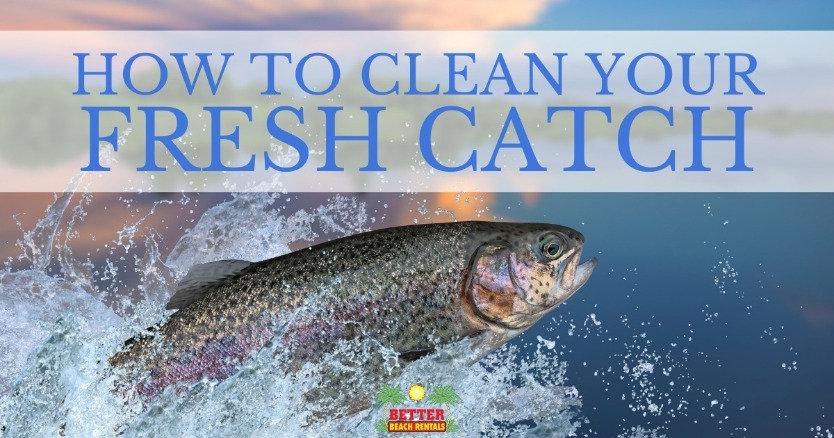 How to Clean Your Fresh Catch