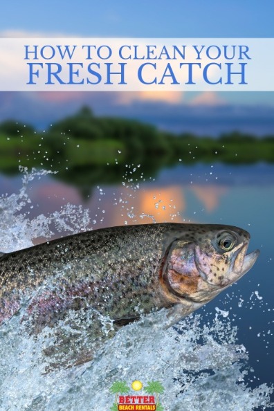 How to Clean Your Fresh Catch