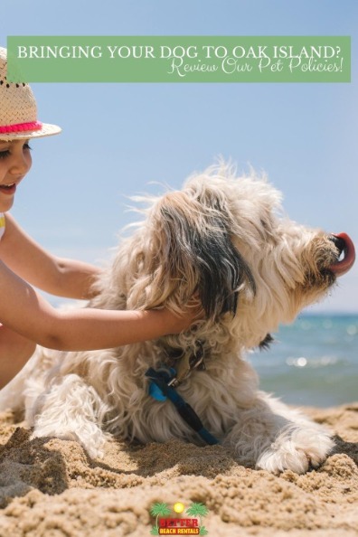 Bringing Your Dog to Oak Island? Review Our Pet Policies!